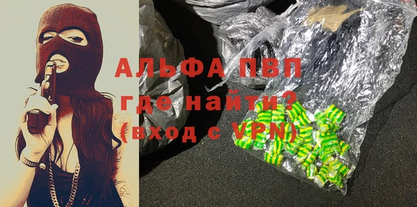 индика Саяногорск