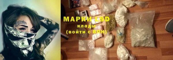 индика Саяногорск