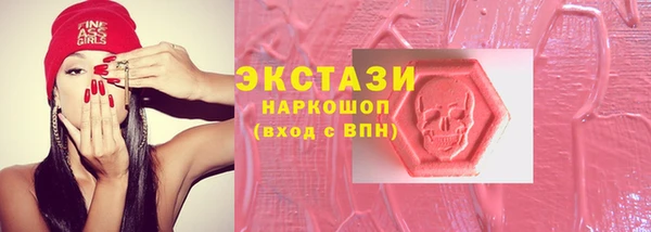 индика Саяногорск
