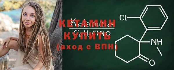 индика Саяногорск