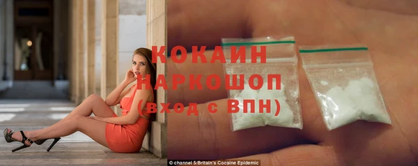 индика Саяногорск