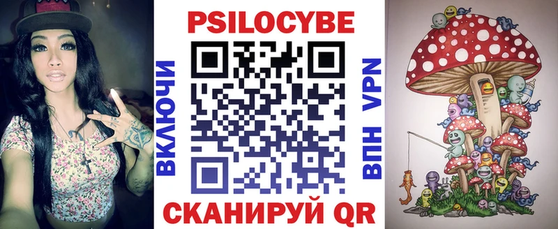 Галлюциногенные грибы мицелий  магазин продажи   Болохово 